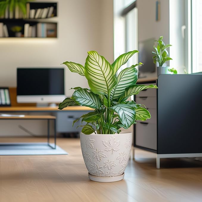 Pots for Plants 10 Inch - Ceramic Planter Large Plant Pot for Indoor Plants Outdoor Round Flower Pot with Drainage Hole and Saucer Home Garden Decor White