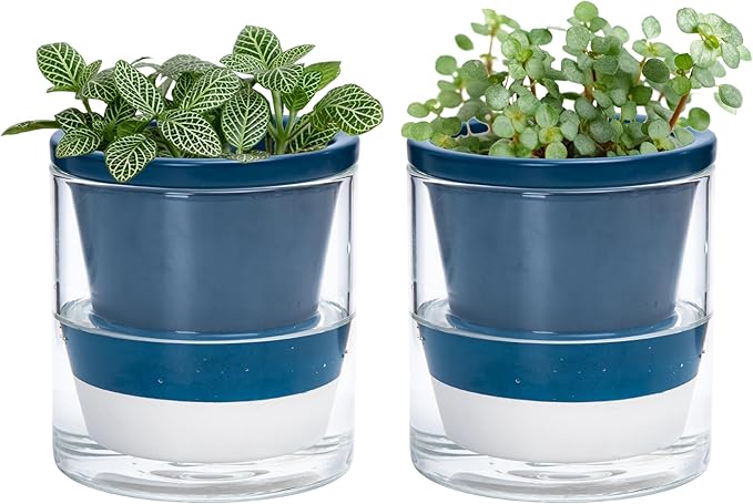 D'vine Dev 4 Inch Design Self Watering Planter for Indoor Plants, Blue Terracotta Pot with Cylinder Glass Cup, Set of 2, 37-Y-A-4