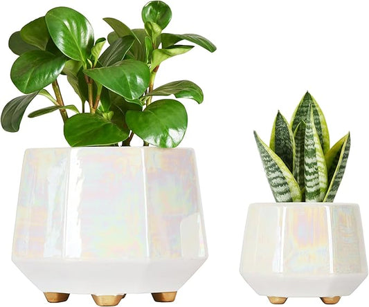 6 Inch + 4 Inch Ceramic Planter for Indoor Plants - Plant Pots with Drainage Hole - Modern Minimalist Flower Pot for Succulents and Herbs