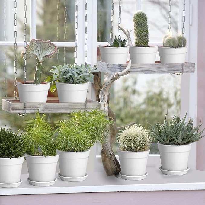 12 Pack 4 inch Plastic Planters, Seedlings Plant Nursery Pots with Drainage Holes and Saucers for Plants Flowers Succulent and All House Plants, White
