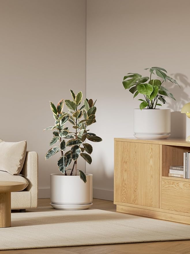 LE TAUCI Ceramic Plant Pots, 10 + 12 Inch Pots for Plants, Indoor Plant Pots for Home and Office, Modern Flower Pots Fit Mid Century Plant Stand, Planters with Drainage Holes and Saucers, White