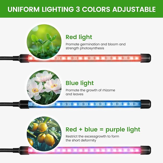 Clip Grow Light for Indoor Plants, Red Blue Spectrum Plant Growing Lamp with 3 Switch Modes,10-Level Dimmable,Auto ON & Off,3/9/12H Timer,Adjustable Gooseneck,1485 Lumen,Input Volateg 15W