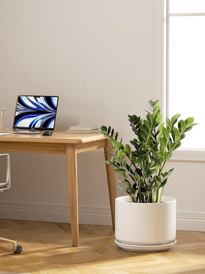 LE TAUCI Ceramic Plant Pots, 10 + 12 Inch Pots for Plants, Indoor Plant Pots for Home and Office, Modern Flower Pots Fit Mid Century Plant Stand, Planters with Drainage Holes and Saucers, White