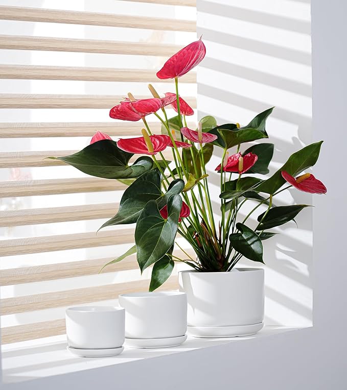 Ton Sin Plant Pots, 4.1+5.1+6.5 inch, Set of 3, Ceramic Planters with Drainage Hole and Saucer, Indoor Flower Pot with Hole Mesh Pad, Gifts for Mom(Matte White)