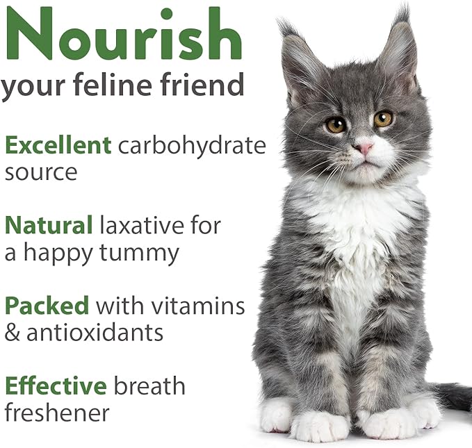 HOME GROWN 3200+ Cat Grass – 𝗡𝗢𝗡-𝗚𝗠𝗢 𝗨𝗦𝗔 Grown Catnip, Alfalfa, Oat, Cat Grass Mix – Indoor Cat Grass Kit Refill – High-Germination Pet Grass for Hairball Relief & Digestion