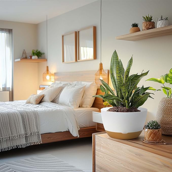 8 Inch Pots for Indoor Plants, Self Watering Planters with Drainage and Saucers, Plastic Outdoor Flower Pot, Set of 2, White