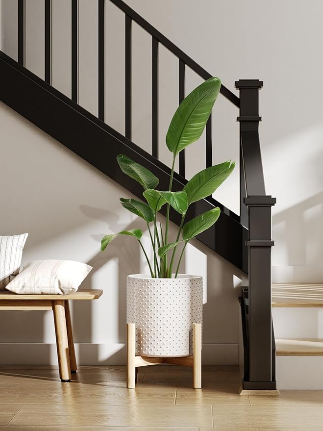 LE TAUCI Ceramic Plant Pots Indoor, 10+8+6 Inch Planters for Indoor Plants, Raised Dots Flower Pots with Drainage Hole and Plug, Cylinder Round Planters, Set of 3, Glaze Arctic White