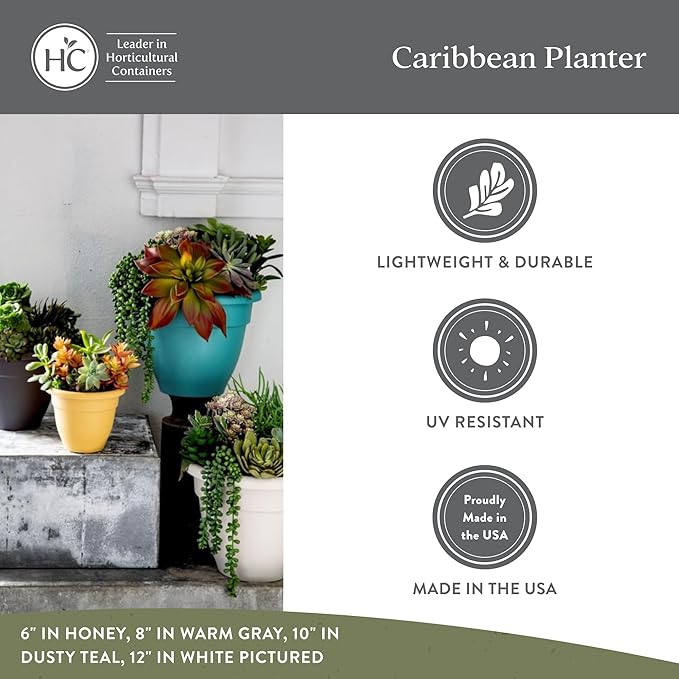 The HC Companies Caribbean Planter Pot - Outdoor & Indoor Plant Pot with Drainage Hole & Plug - Rolled Rim Plastic Pots for Plants & Flowers - Decorative Plant Pot (10" Clay, Pack of 2)