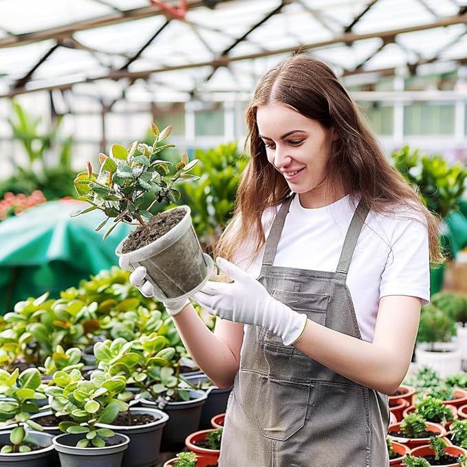 Large Clear pots for Plants,8 Sets 5/6/7/8 inch Thick Plastic Nursery pots for Plants with Drainage Holes for Monstera Plant Live,Succulents etc - Indoor and Outdoor use