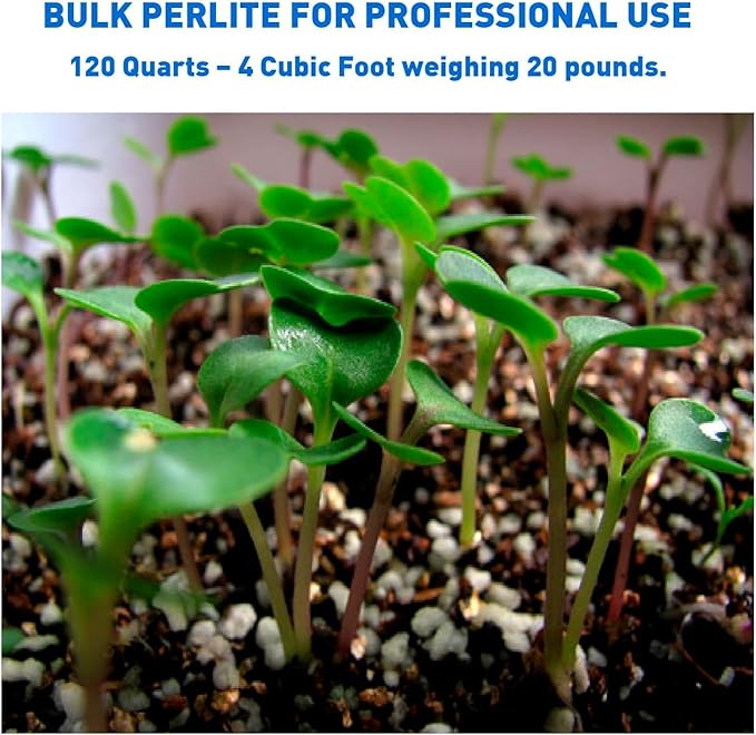 Norcal Perlite Horticultural Organic Certified Premium Screened Coarse – Garden Indoor Outdoor Plants – Soil Additive Better Aeration and Drainage - 4 Cubic Feet (103 Quarts) 1 Bag