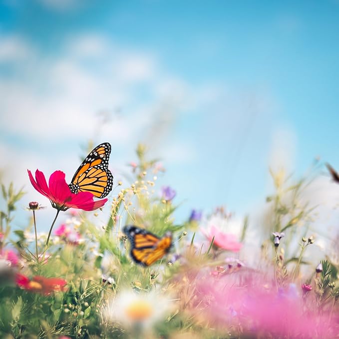 Hummingbird and Butterfly Wildflower Seed Mix, Covers 325 Sq Ft, 23 Flower Varieties, Over 60,000 Seeds - Created By Nature