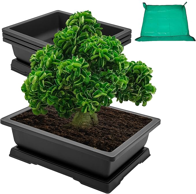 GROWNEER Large Bonsai Training Pots 3 Packs 14 Inch with Drainage Humidity Trays, Bonsai Tree Starter Kits with 1 Repotting Mat, Growing Rectangle Planter for Garden Yard Office Indoor Outdoor
