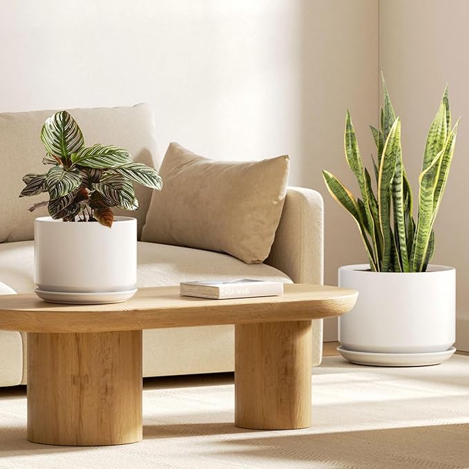 LE TAUCI Ceramic Plant Pots, 8 + 10 Inch Pots for Plants, Indoor Plant Pots for Home and Office, Modern Flower Pots Fit Mid Century Plant Stand, Planters with Drainage Holes and Saucers, White