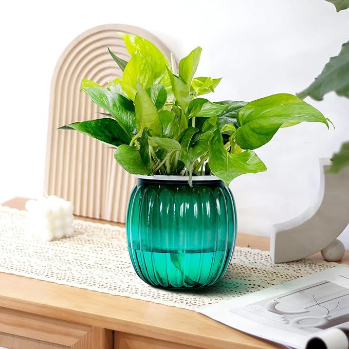 Small Hanging Planters Self Watering 5 Inch, 3 Set Hanging Plant Pot for Indoor Outdoor Plants, Hanging Flower Pots with Drainage Hole & 2 Kinds of Plant Hangers for Garden Home Decor