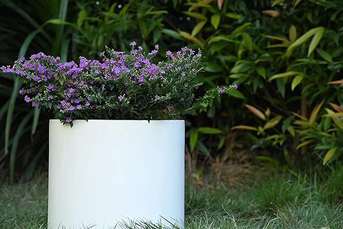 Kante 9.8" Dia Round Concrete Planter, Modern Style Large Cylindrical Plant Pot with Drainage Hole and Rubber Plug for Indoor Outdoor Patio, Pure White