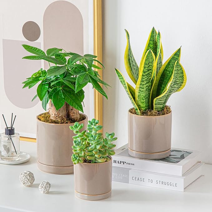 vancasso Ceramic Plant Pots, 3 Piece Planters for Indoor Plants, 4.25+5.25+6.25 Inch Flower Pots with Drainage, Plant Pots Indoor for Succulent, Pothos, Snake Plant and Money Tree, Etc (Gray)