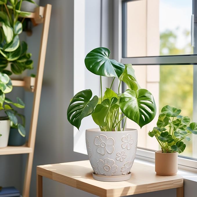 6 Inch Plant Pot with Drainage Hole and Saucer Ceramic Planter for Indoor Plant Flower Pot for Orchid Succulents Plants White