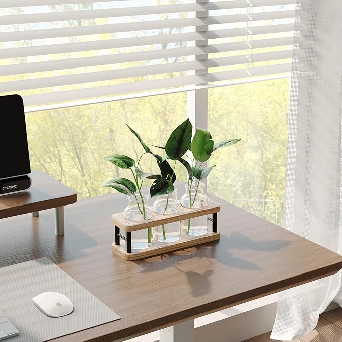 THYGIFTREE Plant Propagation Station with Wooden Stand, Propagation Vases Glass Planters for Indoor Plants Hydroponic Propagating Jars Home Office Decor, Plant Lover Gifts