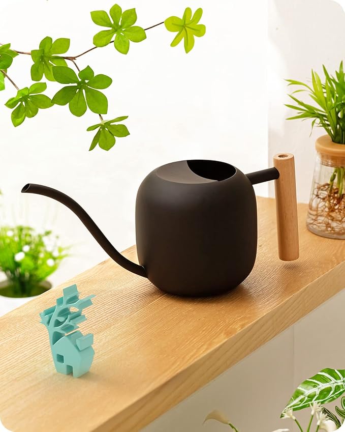 Baffect Watering Can Indoor Plants, 1.2L/41OZ Cute Watering Can Pot, Metal Stainless Steel Garden Watering Can with Long Spout for Indoor House Plants Bonsai Outdoor Garden Flower Decorative