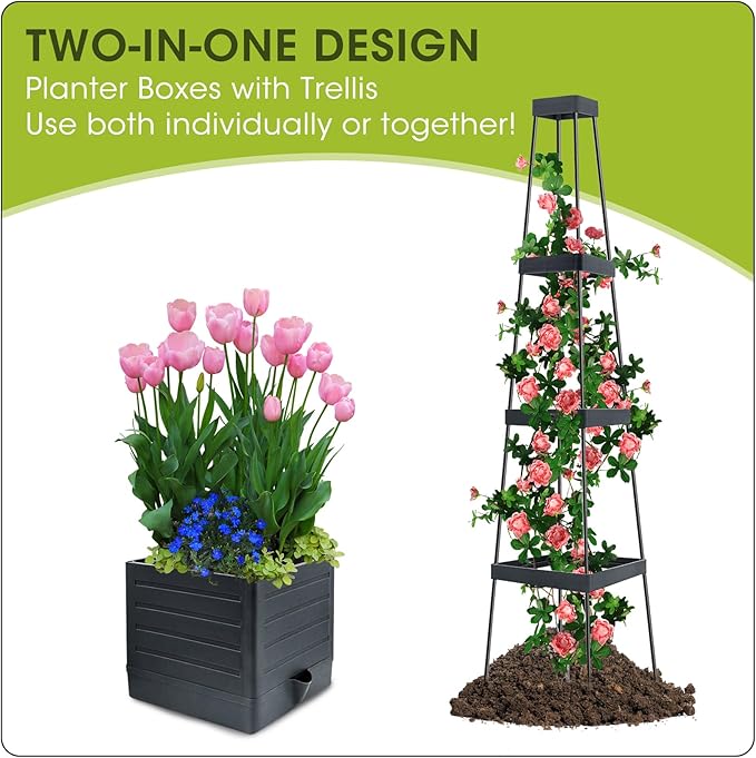 MQFORU Raised Garden Bed, 57" Tomato Planter with Trellis, Tomato Cages for Climbing Vegetables Plant, Self Watering Tomato Support Box for Garden Pots, Use for Patios Greenhouse Indoor Outdoor（1Pc）