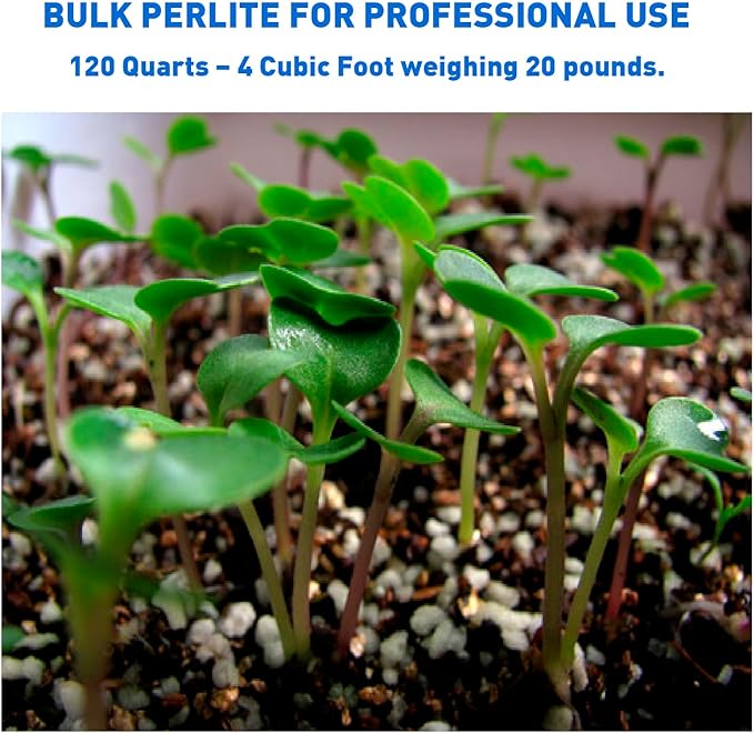 Norcal Perlite Horticultural Perlite Organic Certified Premium Screened Coarse – Garden Indoor Outdoor Plants – Soil Additive Better Aeration and Drainage - 2 Cubic Feet (62 Quarts) 1 Bag