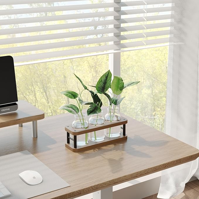 THYGIFTREE Plant Propagation Station with Wooden Stand, Propagation Vases Glass Planters for Indoor Plants Hydroponic Propagating Jars Home Office Decor, Brown