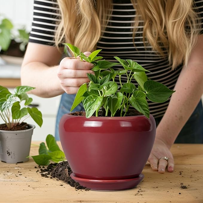 Ceramic Pot for Plants - 6 Inch Plant Pot Indoor with Drainage Hole and Saucer Succulent Outdoor Planter Round Flower Pot for House Patio Decor Red