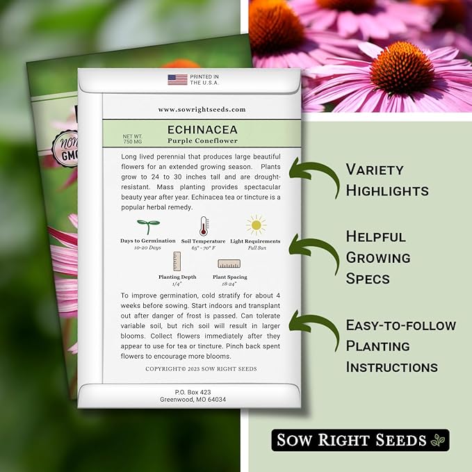 Sow Right Seeds - Purple Coneflower/Echinacea Flower Seeds for Planting - Non-GMO Heirloom - Plant for an Herbal Tea Garden - Attract Pollinators - Great Cut and Come Back Flower (2)