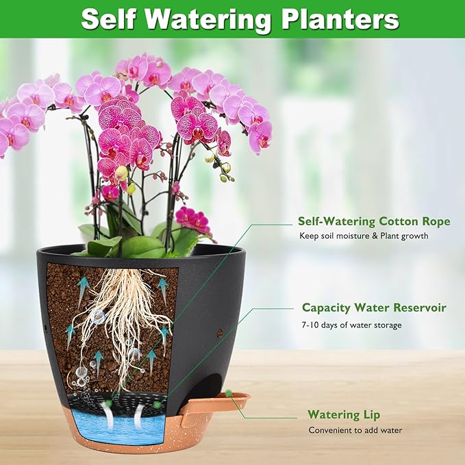6 Inch Orchid Pots with Holes, 2 Pack Self Watering Planters for Orchids Plastic Orchid Pot Plant Flower Pots for Orchids Indoor Outdoor (Black with Brown)