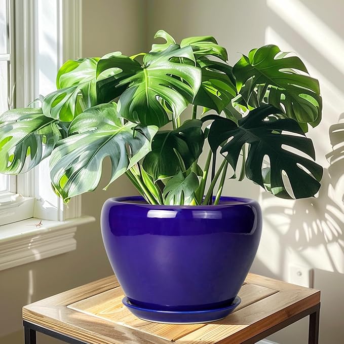 Ceramic Planter 10 Inch - Indoor Plant Pot for Plants with Drainage Hole and Saucer Large Planter Round Outdoor Flower Pot Mid-Century for House Patio Decor Blue