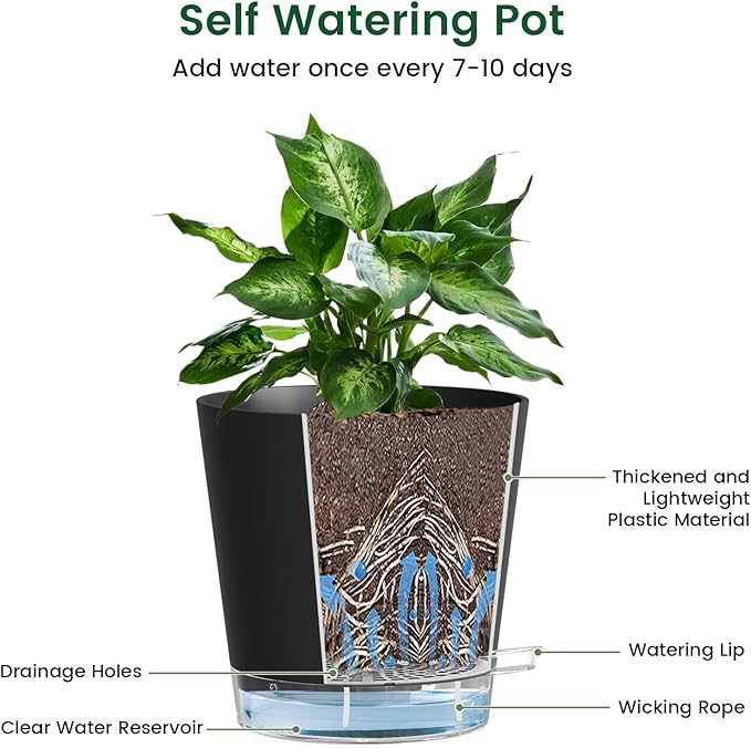 6 inch Self Watering Pots for Indoor Outdoor Plants, 3 Pack Flower Plant Pots with Drainage Holes and Clear Reservoirs, Visible Water Level, Plastic Planters with Wicking Rope, Black