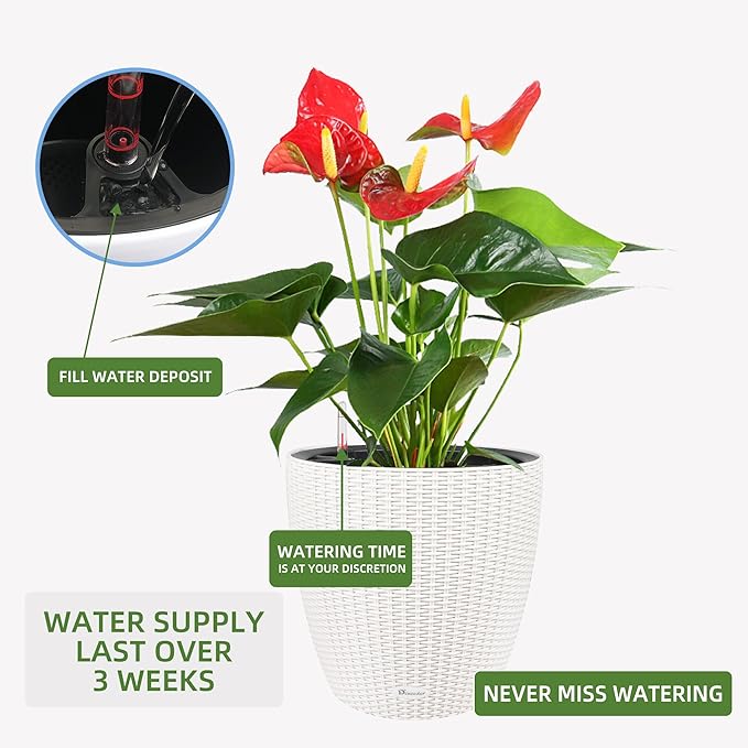 Dexceder 18x17 Inches Rattan Self Watering Planter Indoor Outdoor, Inner Pot Design, Thickened Table Flower Plant Pot with Water Level Indicator (Ivory White)