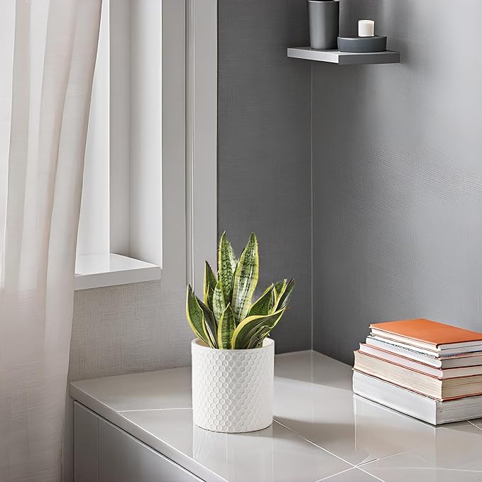 Docrin Ceramic Planters Indoor: 8 Inch Plant Pot with Drainage Holes for Home/Office - White Honeycomb