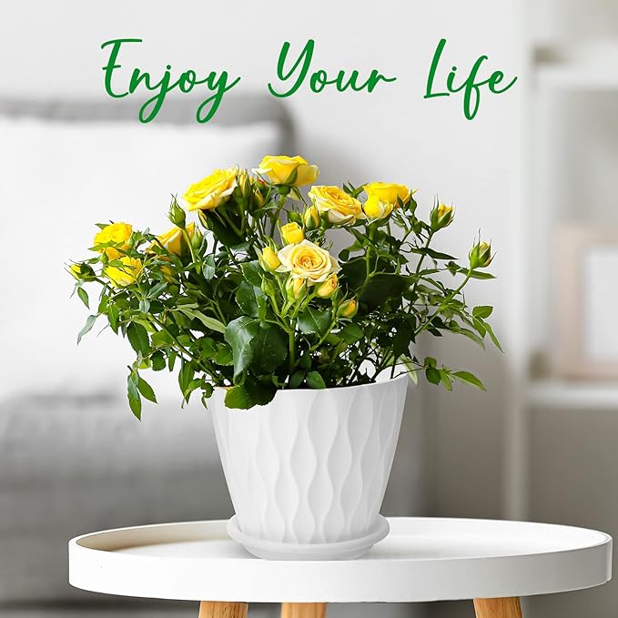 6 inch Plant Pots, 5 Pack Flower Pots Outdoor Indoor, Planters with Drainage Hole and Tray Saucer（White