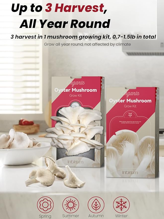 inbloom Organic Oyster Mushroom Growing Kit with Spray, Harvest Fresh Mushrooms at Home, Beginner Friendly & Easy to Use, Unique Gardening Gift for Holiday, Handmade in New Jersey, USA