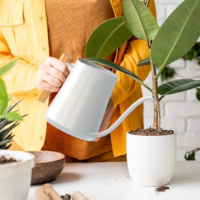 Green Moon Water Can Indoor Plant White 35oz with Long Spout Mini Water Can Indoor Metal Watering Can Pot for Indoor House Plant Bonsai Outdoor Garden Flowers Modern Decorative