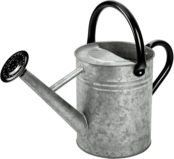 Metal Watering Can, One Gallon Watering Cans Stainless Steel for Outdoor Indoor Garden Plants Watering (Silver 1 Gallon)