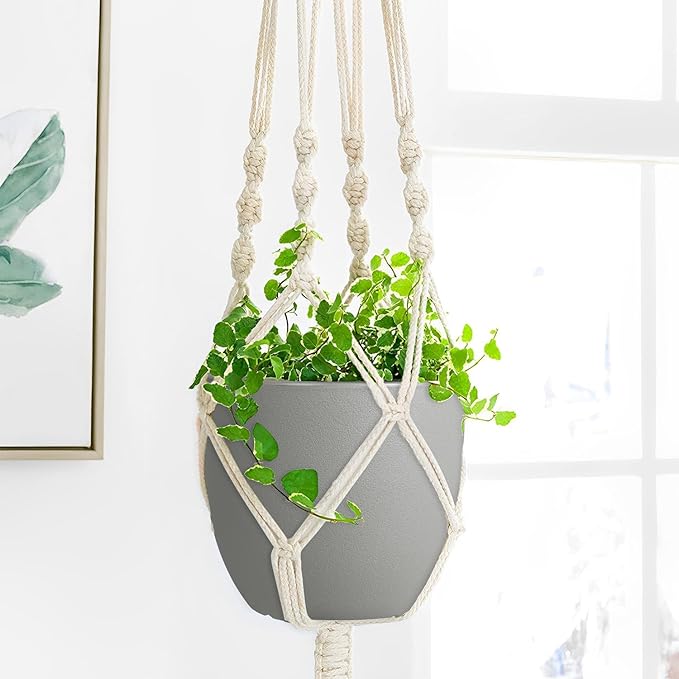 Plant Pots 8 Inch Set of 2, Flower Pots with Multi Mesh Drainage Holes, Planters for Indoor Outdoor Garden Plants and Flowers