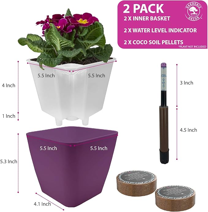5" Self Watering pots for Indoor Plants - Flower Pot with Water Level Indicator for Plants, Grow Tracking Tool - Self Watering Planter Plant Pot – 2 Pack Purple