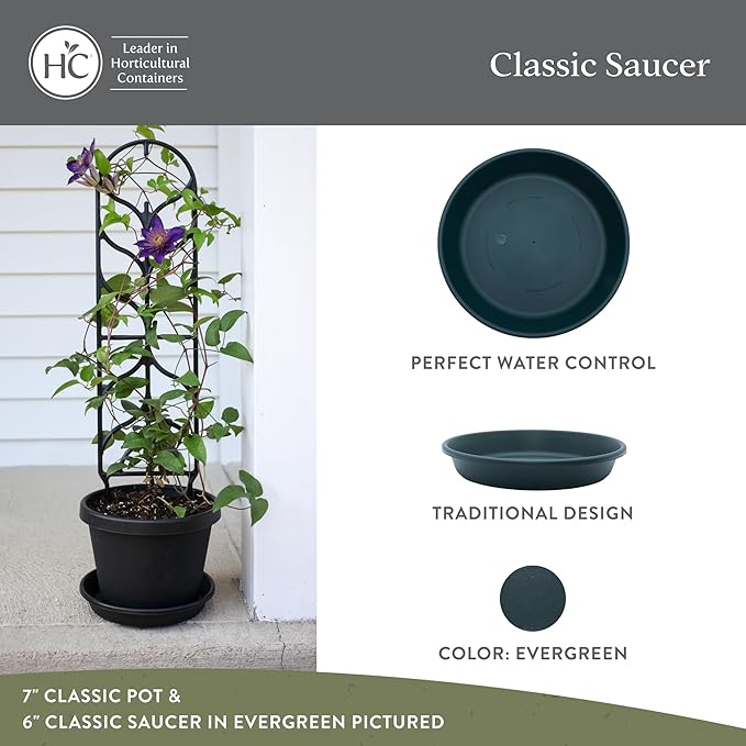 The HC Companies 6 Inch Round Plastic Classic Plant Saucer - Indoor Outdoor Plant Trays for Pots - 6.75"x6.75"x1.13" Evergreen