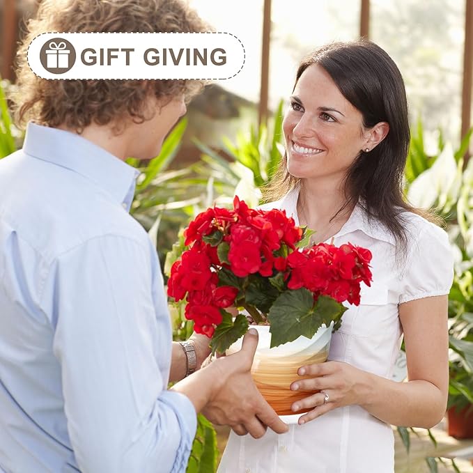 6.7 + 5.5 Inch Plant Pot, Ceramic Planter with Drainage and Saucer，Ceramic Pots for Plants, Indoor Plant pots，planters for Indoor Plants(Khaki + White)