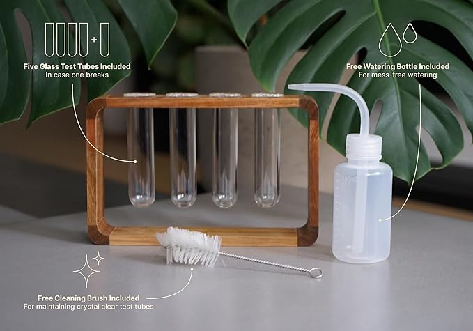 Source & Plot - Plant Propagation Station - Acacia Wood Stand 4 Glass Test Tube Hydroponic Tabletop Rooting Terrarium Planter Rack Home and Office Decor - Last Batch
