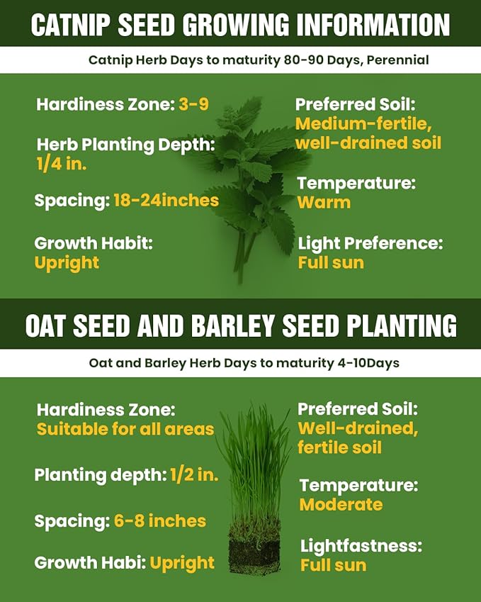 Organic Cat Grass & Catnip Seeds Kit – 3 Pack Oat & Barley Grass for Indoor Cats – Fast 7-Day Growth, High Germination, Hairball Control & Play – Pet-Safe Planting Set