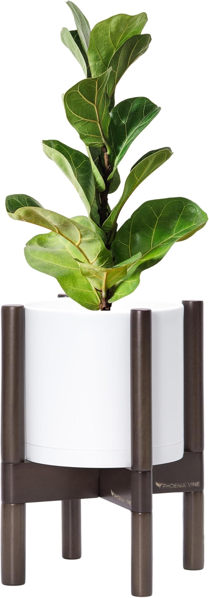 D'vine Dev Planter Pot with Stand - 8 Inch Plastic Cylinder Flower Pot with Wood Planter Holder for Indoor, Matte White Pot + Walnut Color Stand, 55-C-I-1