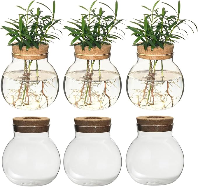 Plant Propagation Station,Hydroponic Terrarium Vase,Desktop Glass Planter Station,for Houses,Garden Decorations,ropagating Hydroponic Plants,Centerpiece Office,Home Garden Decor (6)