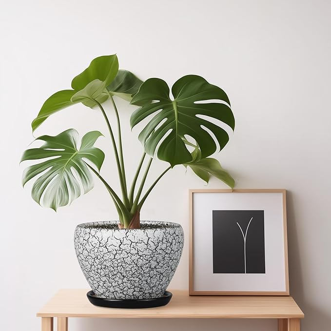 Ceramic Planter Pot - 6 Inch Plant Pot with Drainage Hole and Saucer, Succulent Pot Glaze Round for Indoor Outdoor Plants, White and Black