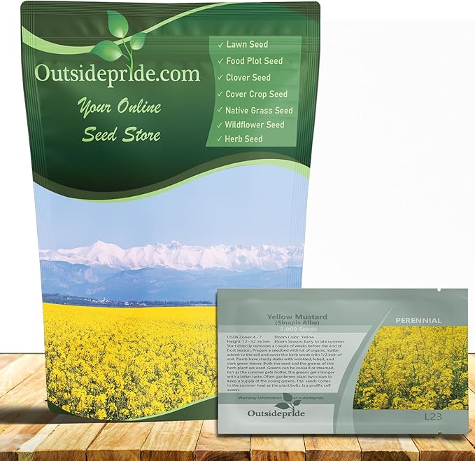 Outsidepride Yellow Mustard Seeds - 10000 Pcs Nutrient-Rich, Flavorful Annual Microgreen Seeds for Planting, Easy-to-Grow, Ideal for Indoor & Outdoor Cultivation, Soil & Hydroponic Systems