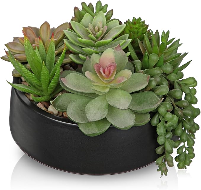 DILATATA Artificial Succulent Plants in Pot 5.5 Inch Fake Succulents Arrangement Potted Plant in Black Ceramic Planter Bowl for Home Office Desk Shelf Living Room Bedroom Bathroom Decor