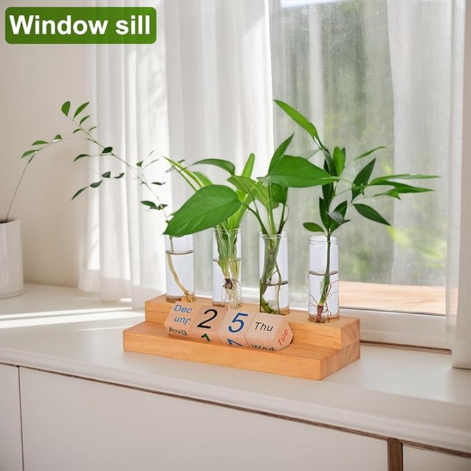 Propagation Vases for Plants, with Block Calendar for Desk, for Home and Desk Decor, Perfect Gardening Gifts for Women, Mom, Teacher, Horticulturist (Dark Wood Color)
