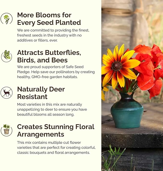 Eden Brothers New York Wildflower Mixed Seeds for Planting, 1 lb, 480,000+ Seeds with Coneflower, Cosmos | Attracts Pollinators, Plant in Spring or Fall, Zones